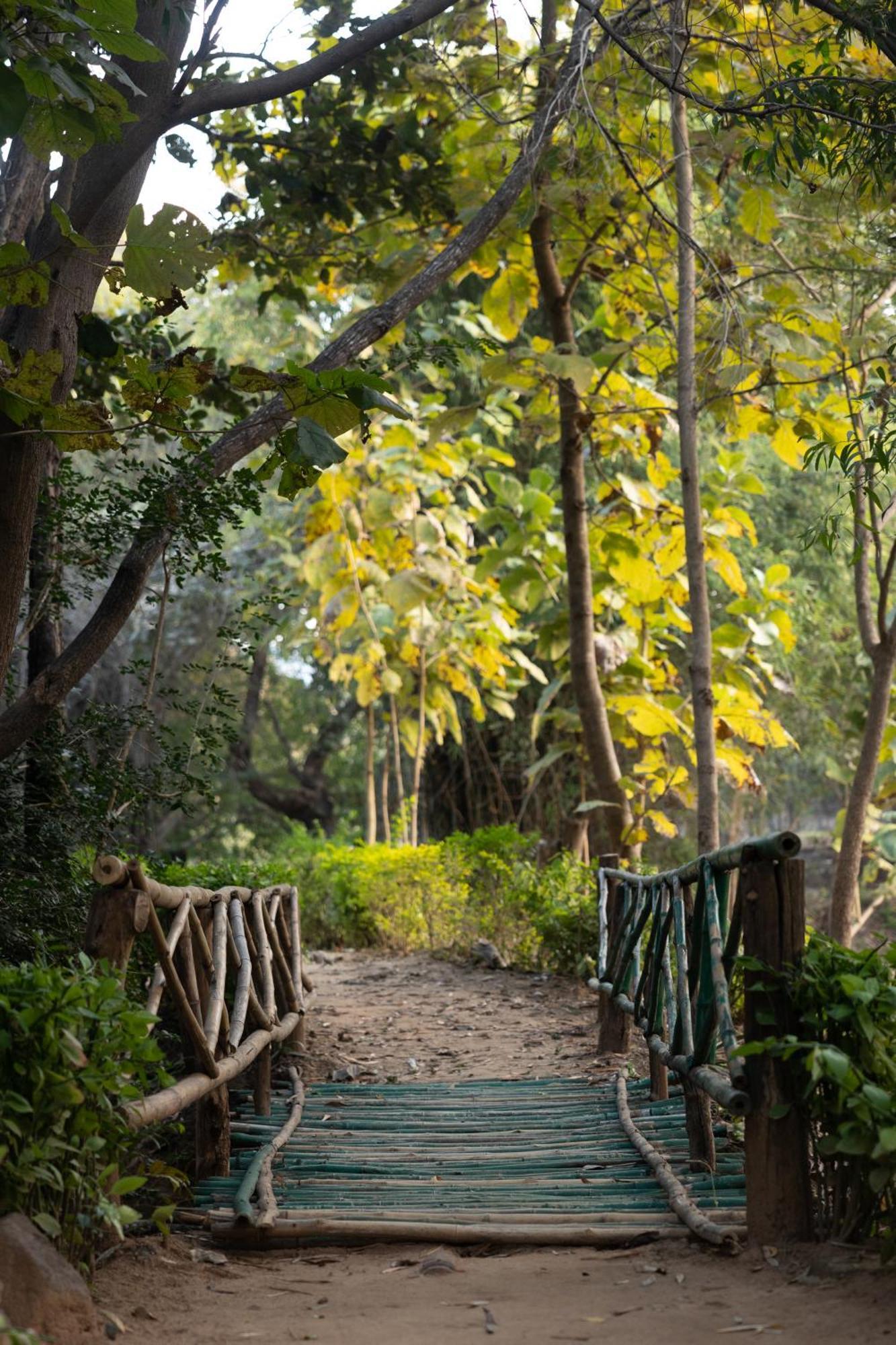 Tiger Trails Resort Tala  Exterior photo