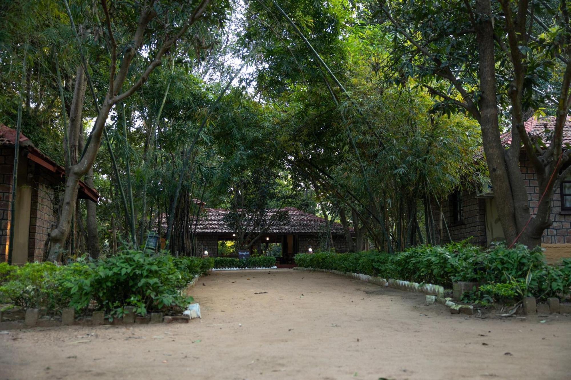 Tiger Trails Resort Tala  Exterior photo